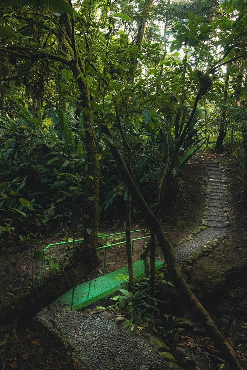 Villa Rio *